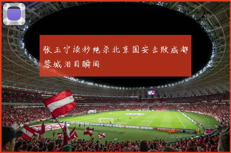 张玉宁读秒绝杀北京国安击败成都蓉城泪目瞬间