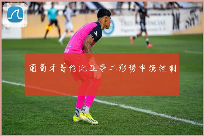 葡萄牙哥伦比亚争二形势中场控制