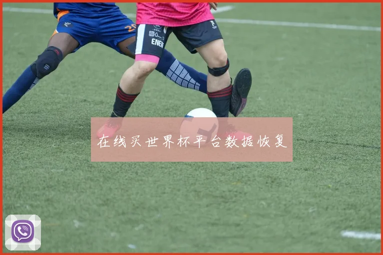 在线买世界杯平台数据恢复