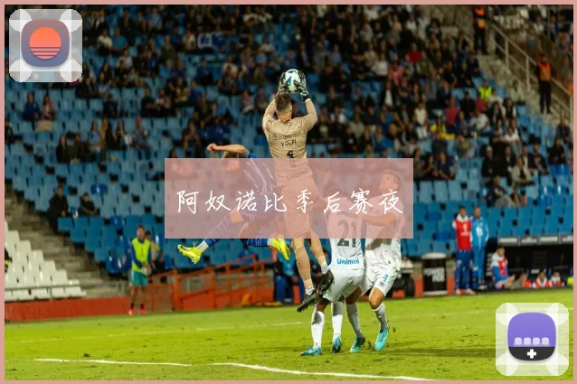 阿奴诺比季后赛夜
