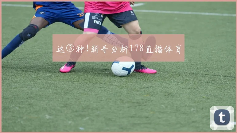这③种!新手分析178直播体育