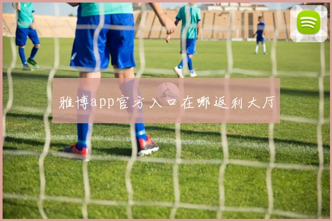雅博app官方入口在哪返利大厅
