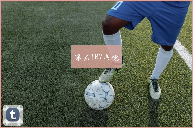 曝光!BV韦德