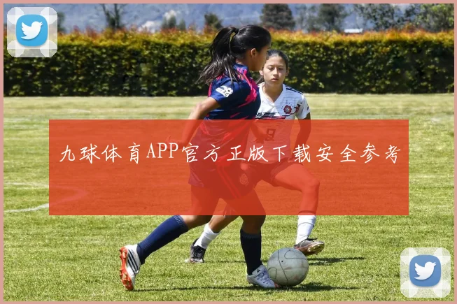 九球体育APP官方正版下载安全参考