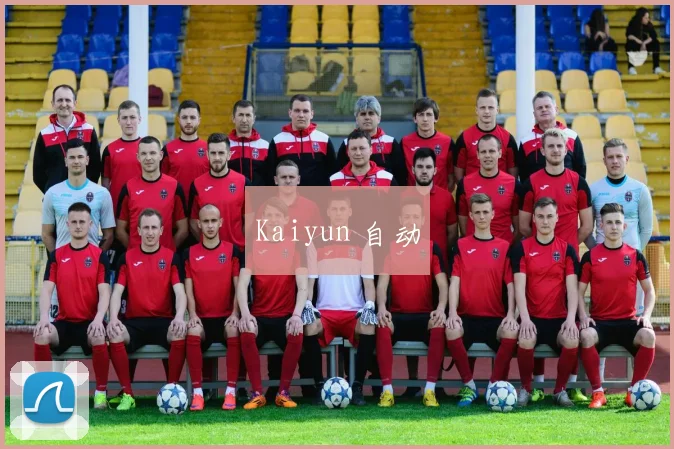 Kaiyun 自动
