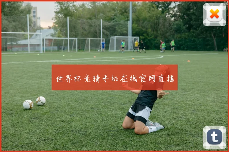 世界杯竞猜手机在线官网直播