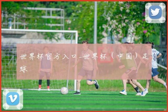 世界杯官方入口_世界杯（中国）足球