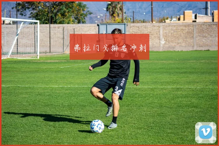 弗拉门戈排名冲刺