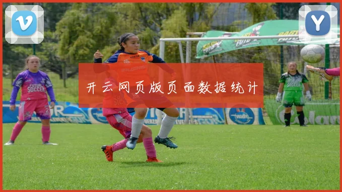 开云网页版页面数据统计