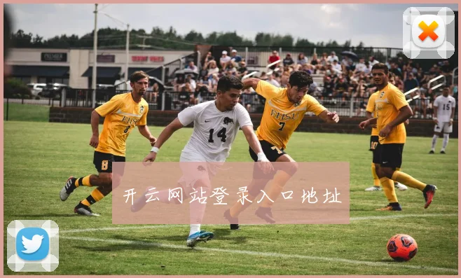 开云网站登录入口地址