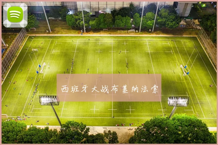 西班牙大战布基纳法索