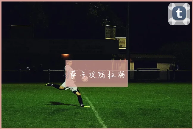 萨卡攻防拉满