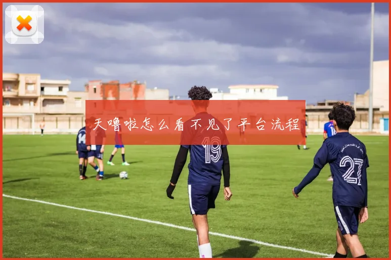 天噜啦怎么看不见了平台流程