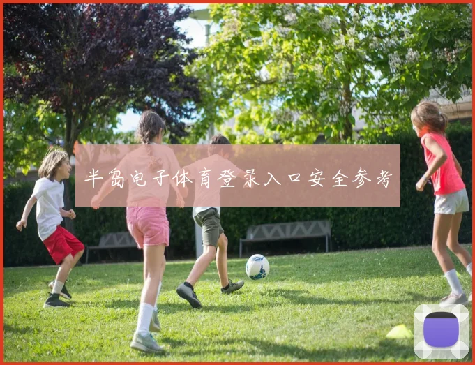 半岛电子体育登录入口安全参考