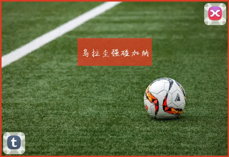乌拉圭强碰加纳