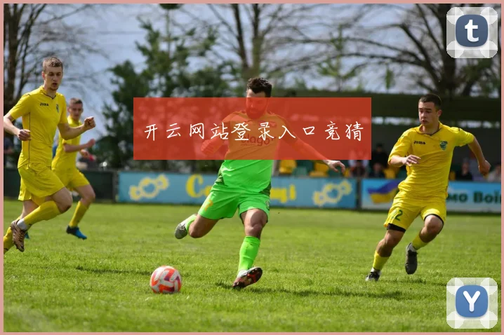 开云网站登录入口竞猜