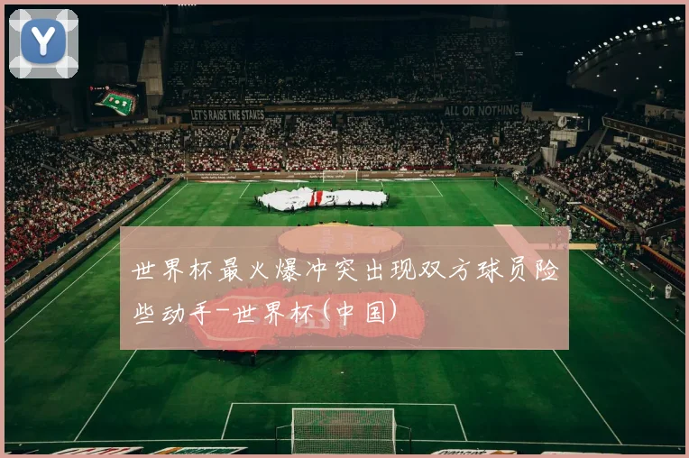 世界杯最火爆冲突出现双方球员险些动手-世界杯(中国)