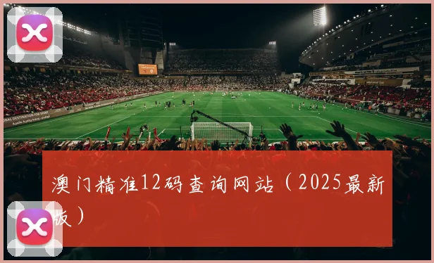 澳门精准12码查询网站（2025最新版）