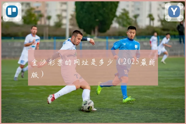 金沙彩票的网址是多少（2025最新版）