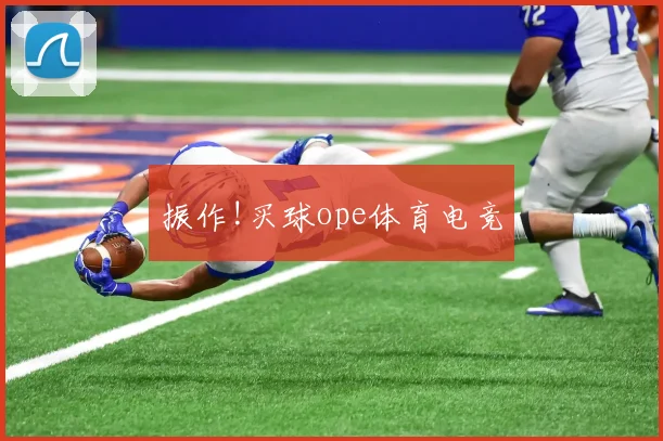 振作!买球ope体育电竞