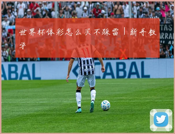 世界杯体彩怎么买不踩雷｜新手教学