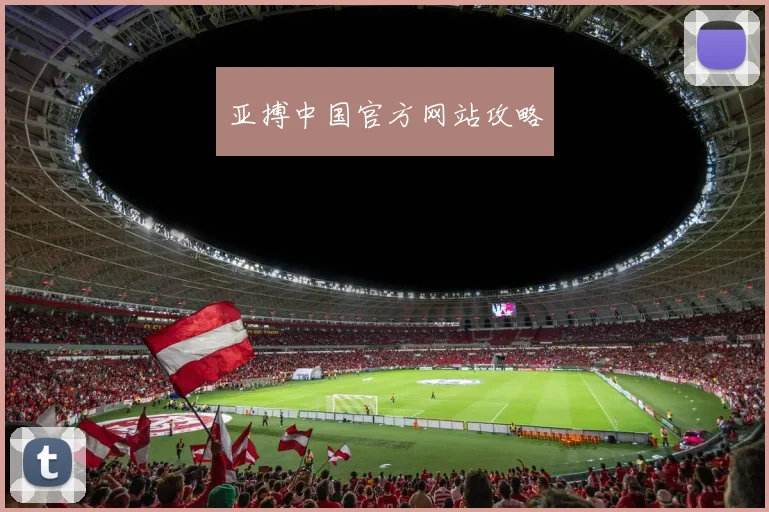 亚搏中国官方网站攻略