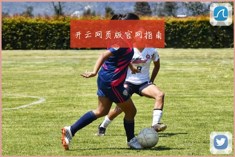 开云网页版官网指南