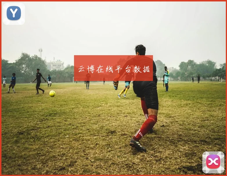 云博在线平台数据