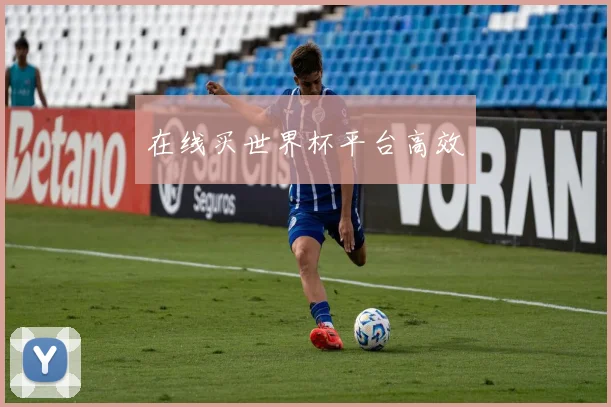在线买世界杯平台高效