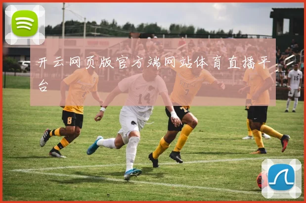 开云网页版官方端网站体育直播平台