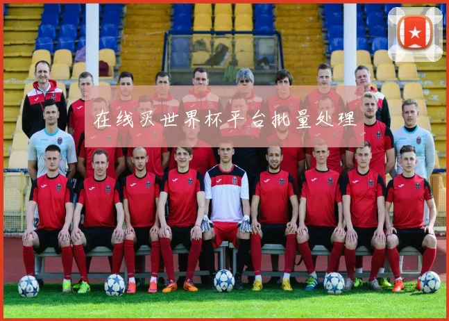 在线买世界杯平台批量处理