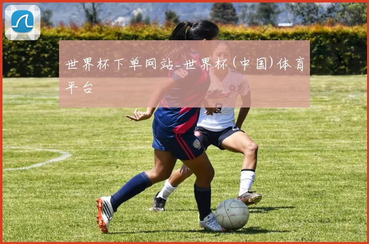 世界杯下单网站_世界杯(中国)体育平台
