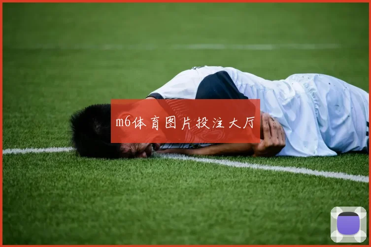 m6体育图片投注大厅