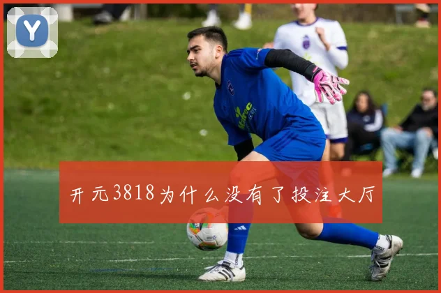 开元3818为什么没有了投注大厅