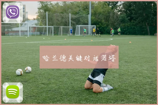 哈兰德关键对话若塔