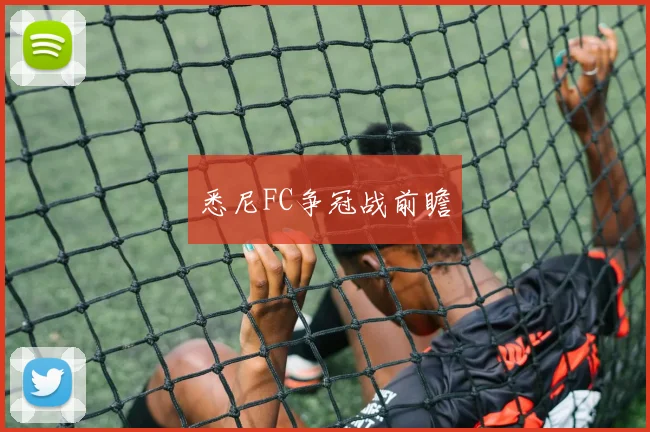 悉尼FC争冠战前瞻