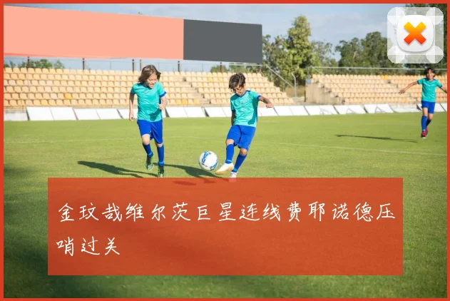 金玟哉维尔茨巨星连线费耶诺德压哨过关