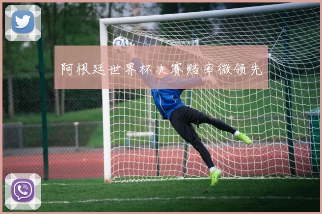 阿根廷世界杯决赛赔率微领先