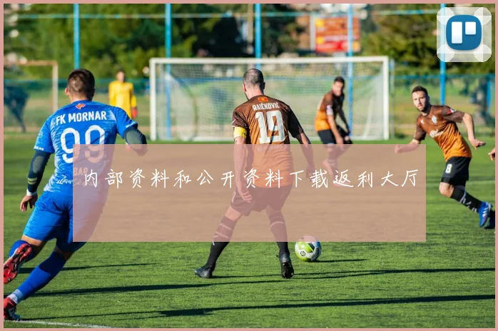内部资料和公开资料下载返利大厅