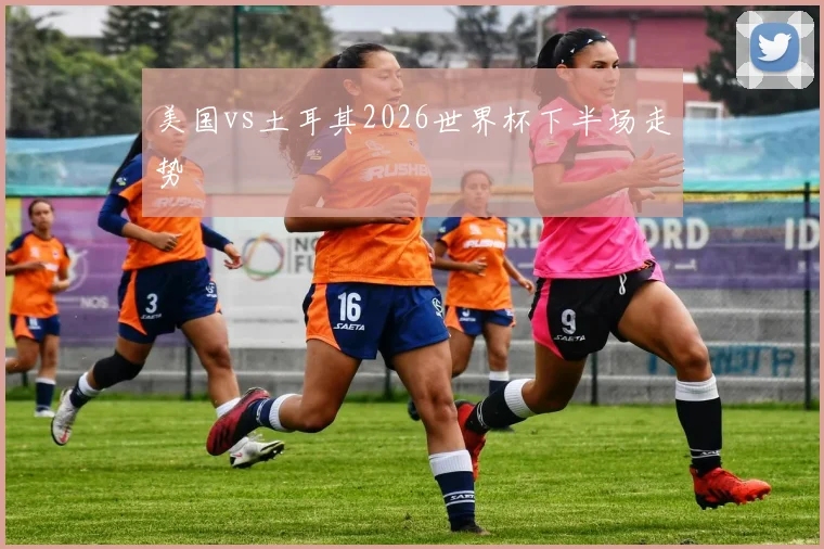 美国vs土耳其2026世界杯下半场走势