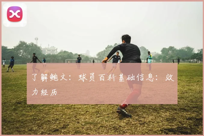 了解鲍文:球员百科基础信息:效力经历