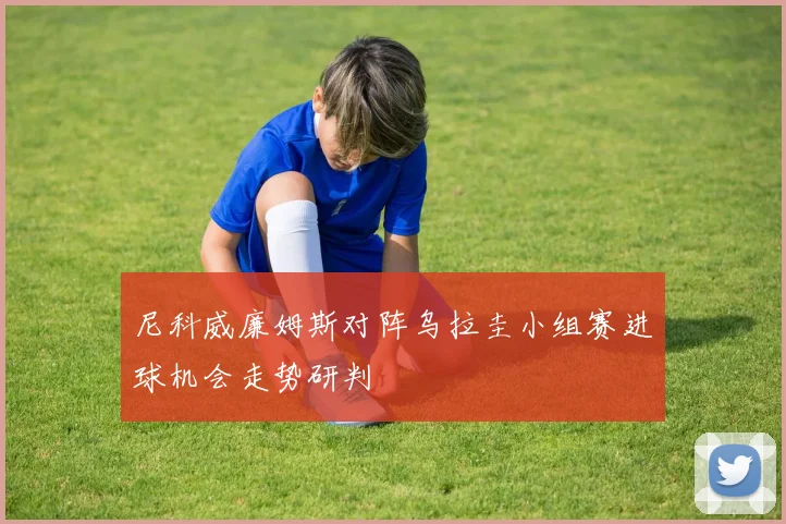 尼科威廉姆斯对阵乌拉圭小组赛进球机会走势研判