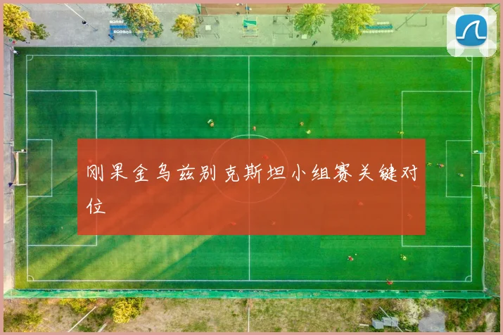 刚果金乌兹别克斯坦小组赛关键对位