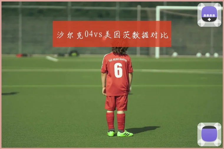 沙尔克04vs美因茨数据对比